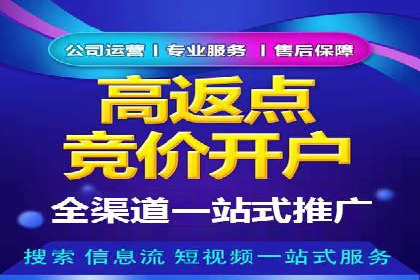 探索SEM竞价员的核心工作与案例分析